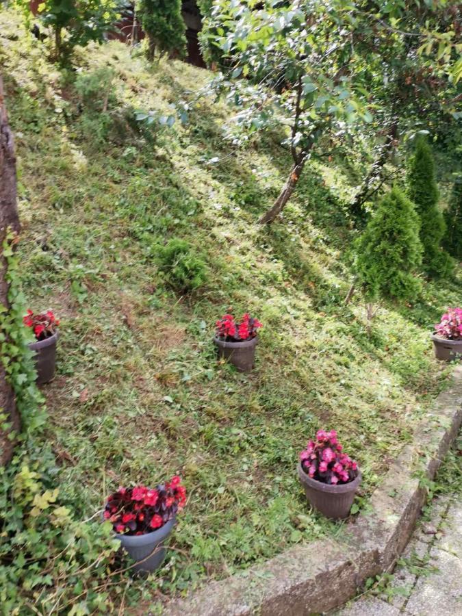 Fiar Leilighet SJJ Eksteriør bilde